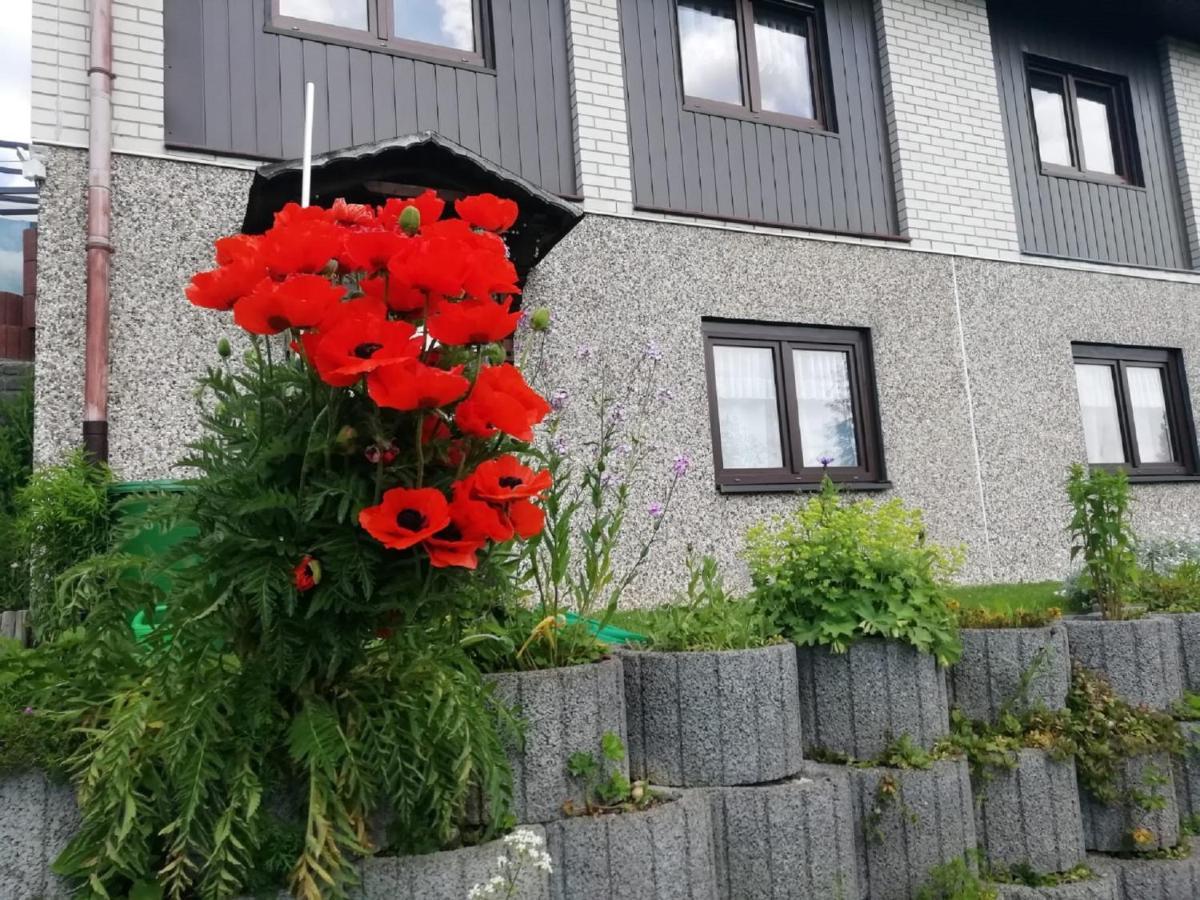 Ferienwohnung Suetovius Курорт Обервизенталь Экстерьер фото